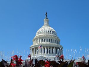 A fountain flows in front of the United States Capitol Building