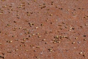 Spent shell casings cover the ground at an outdoor range during the 2023 SHOT Show in Las Vegas, Nevada