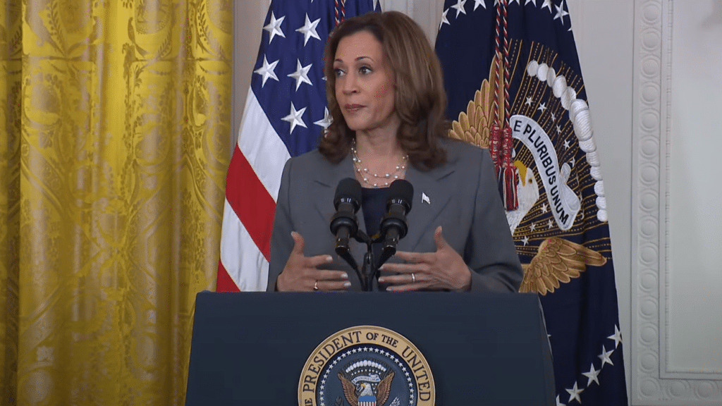 Kamala Harris speaks at a White House event on gun policy